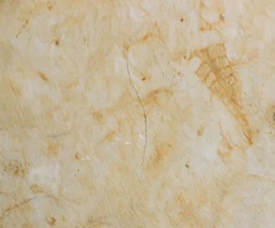 Marmol Dorado Tepexi