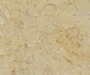 Limestone Belgin Truffle